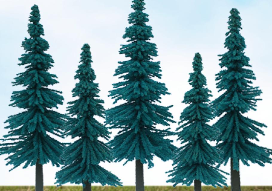 Scenic Blue Spruce