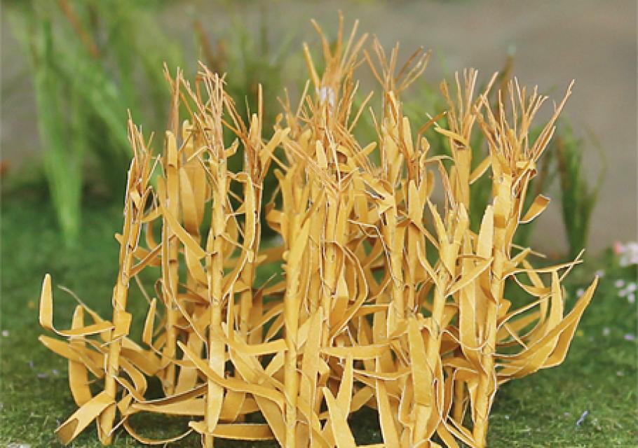 Brown Corn Stalks