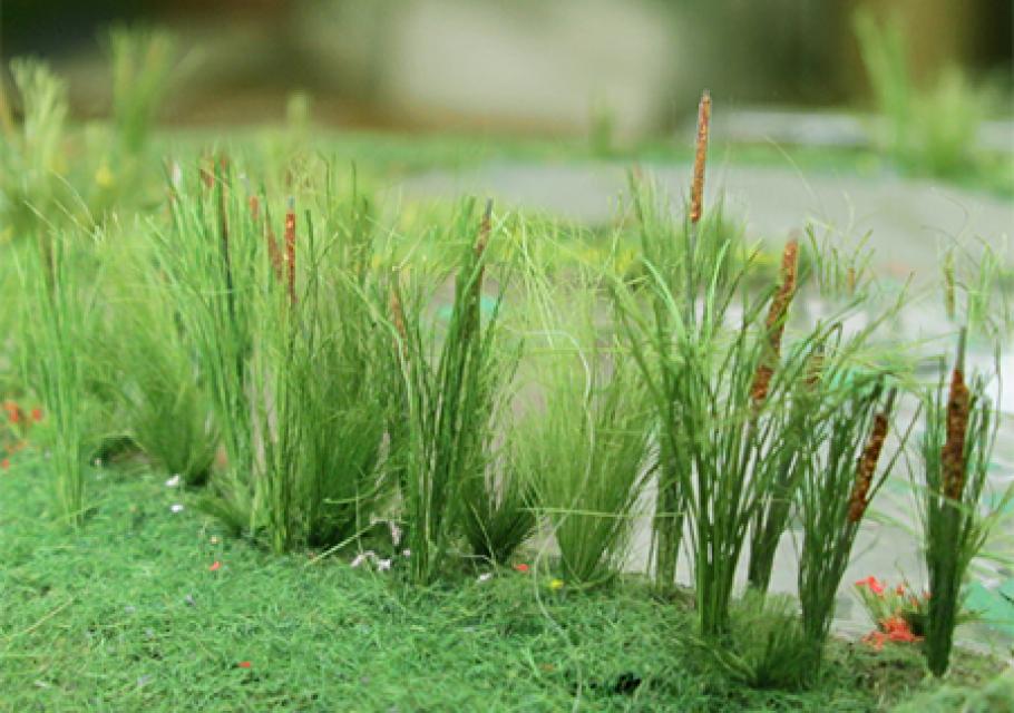 Cattails