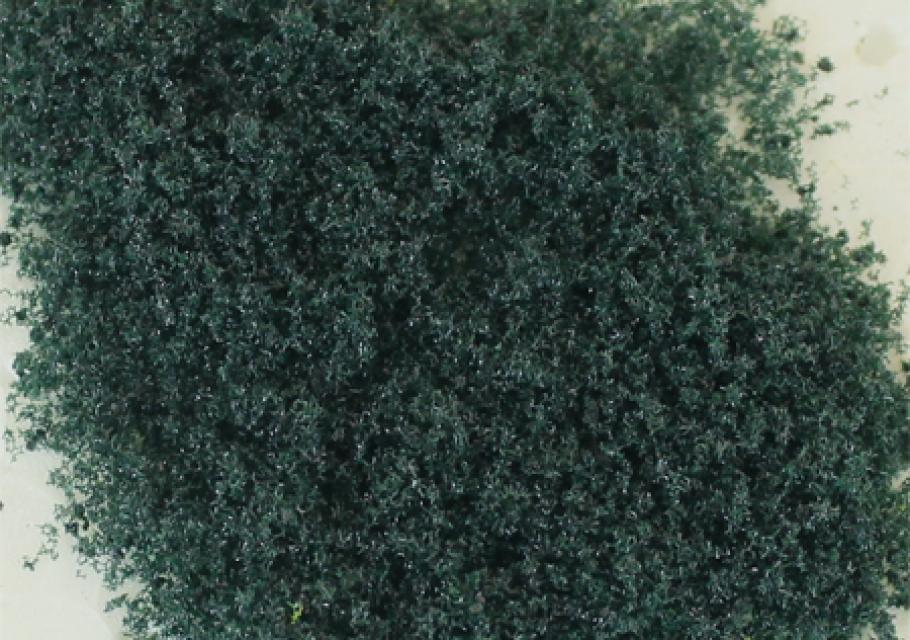 Conifer Green