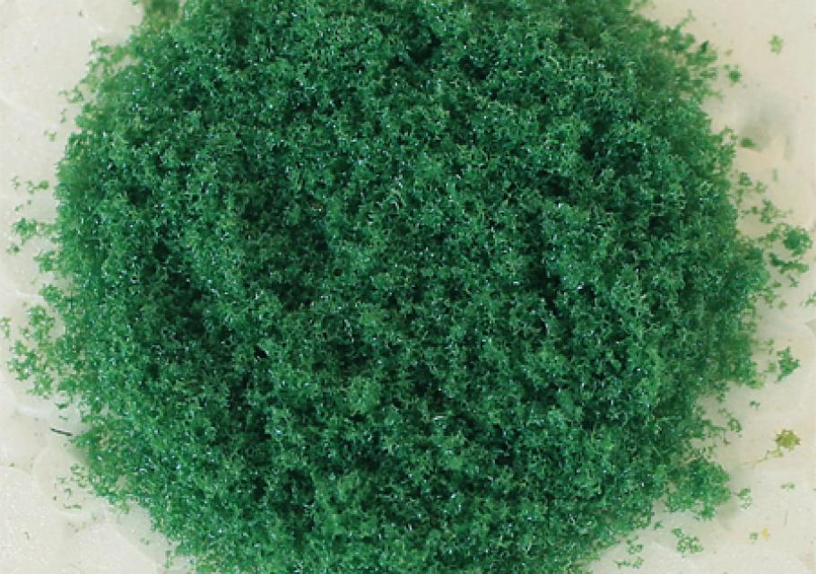 Green Grass