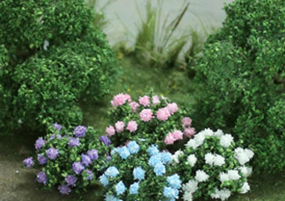 Hydrangea