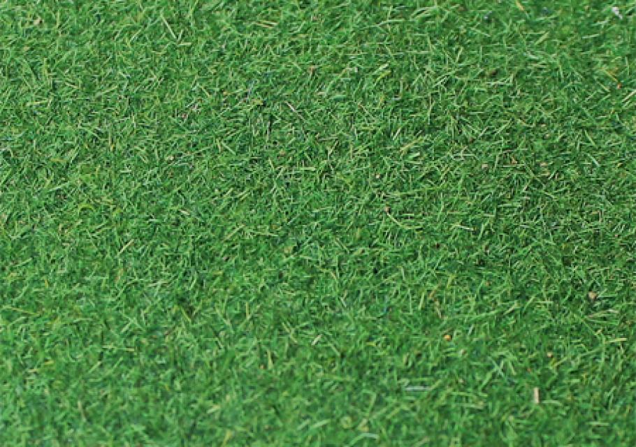 Medium Green 