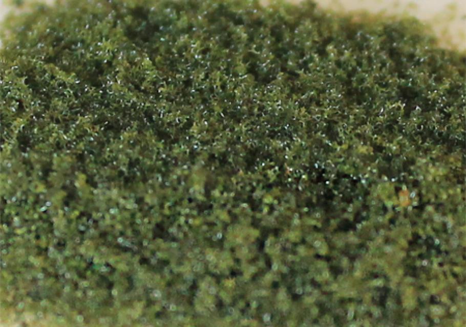 Moss Green