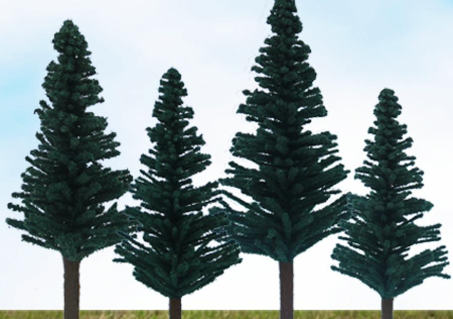 Scenic Norway Spruce