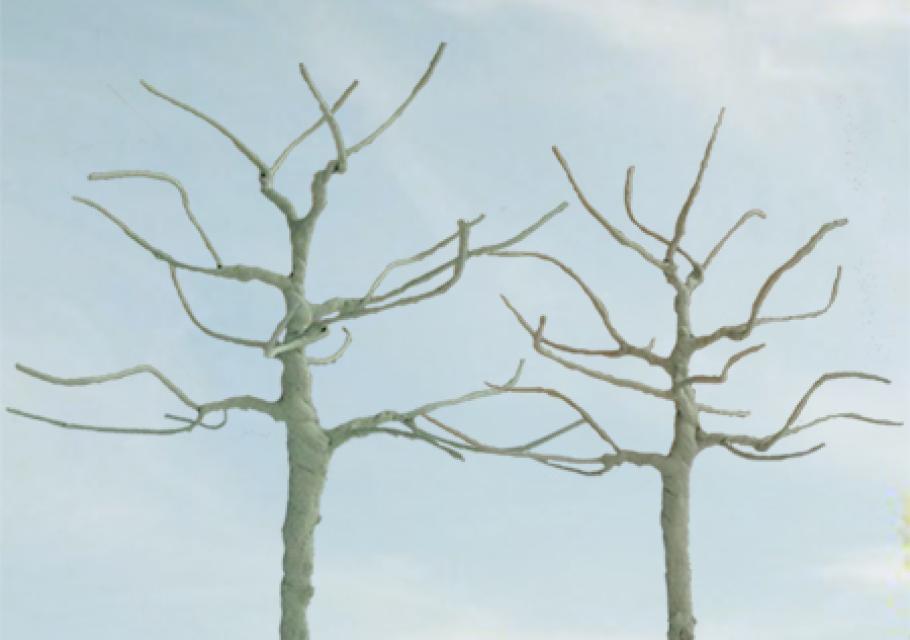 Round-head Bare Trees