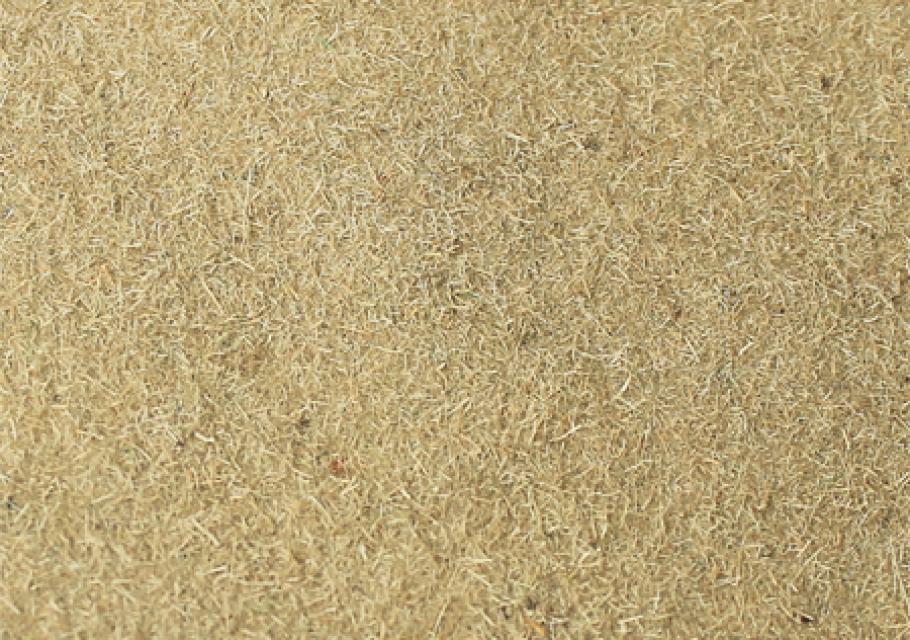 Yellow Straw 