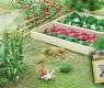 VEGETABLE PLANTS