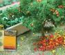 FRUIT TREES