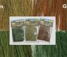 FIELD GRASS