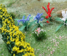 FLOWERING PLANTS