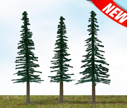 Scenic Conifer (new)