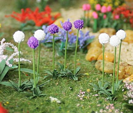 Allium Giganteums