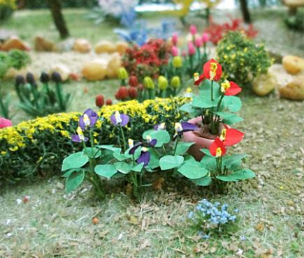 Anthuriums