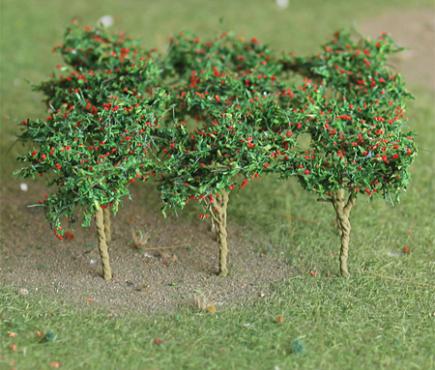 Apple Saplings