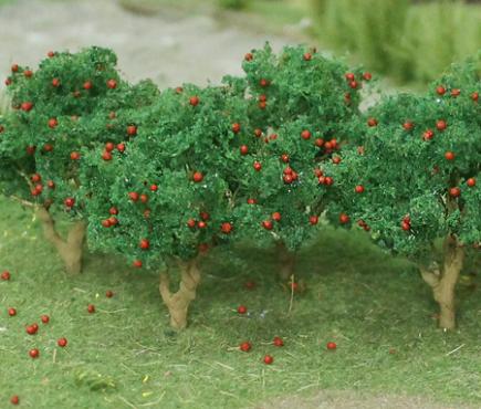 Apple Tree Grove