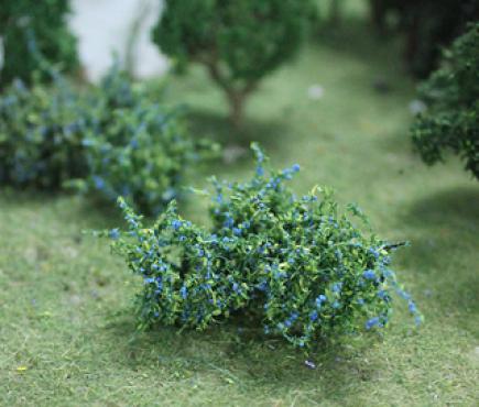 Blueberries Plants