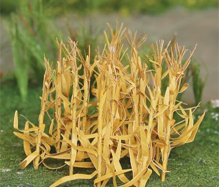 Brown Corn Stalks
