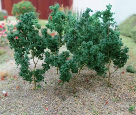 Dark Green Branches