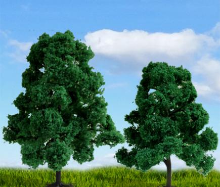 Scenic Deciduous