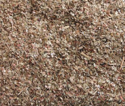 Dried Leaves