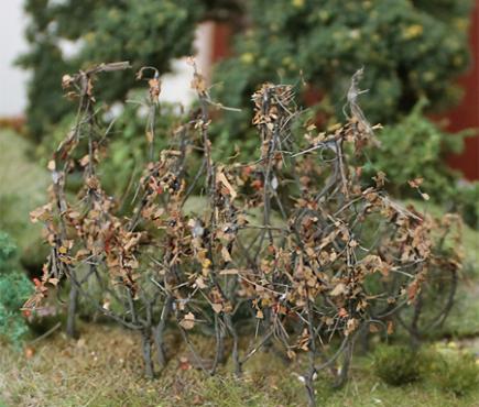 Dry Leaves Branches