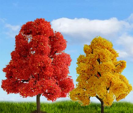 Scenic Fall Deciduous