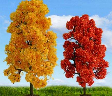 Scenic Fall Sycamore