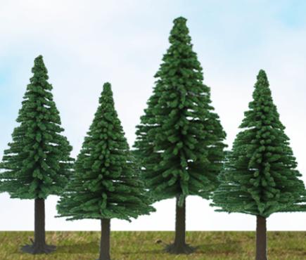 Scenic Fir