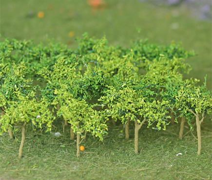 Grape Vines