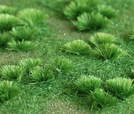 Green Meadow
