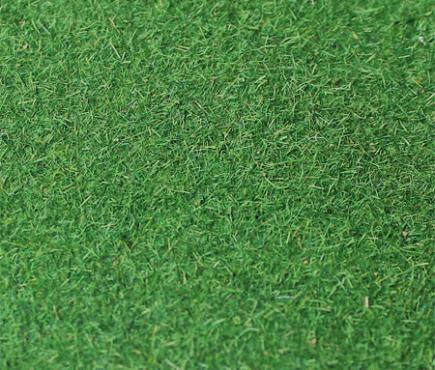 Medium Green 
