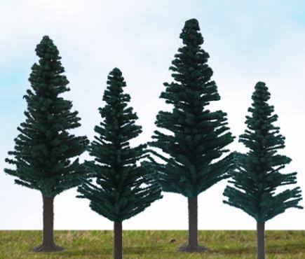 Scenic Norway Spruce