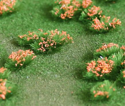 Flowering Meadow Orange
