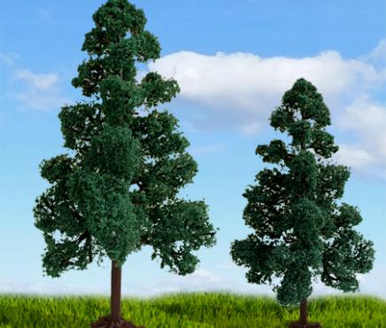 Scenic Lodgepole Pine