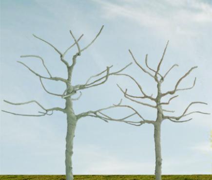 Round-head Bare Trees