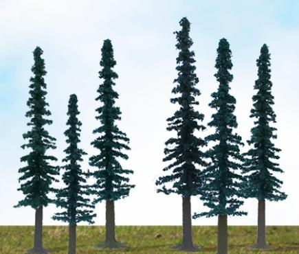 Scenic Conifer