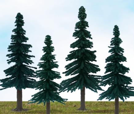Scenic Spruce