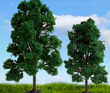 Scenic Sycamore