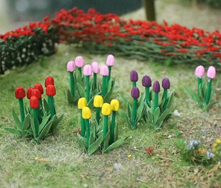 Tulips