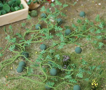 Watermelons