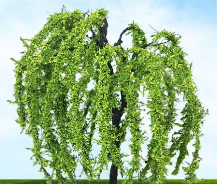 Weeping Willow